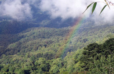 Dochula Pass